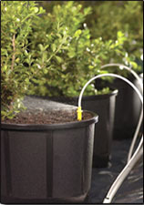 Sprinklers -- Sprayers on Stakes