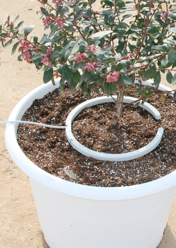 Netbow Irrigation System for Pots from Netafim