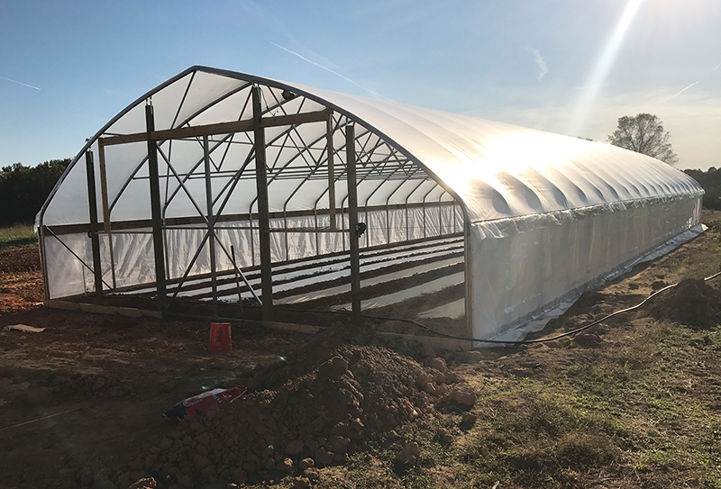 Greenhouse Plastic and Low Tunnels