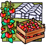 Growing Supplies