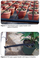 Spaceit drip tape on potted plants by Netafim Spaceit drip tape on potted plants by Netafim