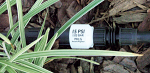 Pressure Regulator Low Flow Model in use Pressure Regulator Low Flow Model in use