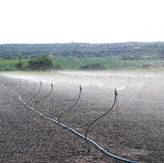 Netafim Meganets on Sprinkler Stand Assembly Netafim Meganets on Sprinkler Stand Assembly