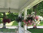 Customers pictures of the pot - hanging basket irrigation kit on their porch. Customers pictures of the pot - hanging basket irrigation kit on their porch.