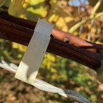 PW13 compostable Max taper on branch PW13 compostable Max taper on branch