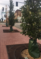 Treegators are perfect down a sidewalk and far away from a spigot. Treegators are perfect down a sidewalk and far away from a spigot.
