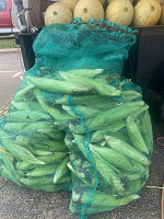 Corn bags hold corn, canteloupe and small melons. Corn bags hold corn, canteloupe and small melons.