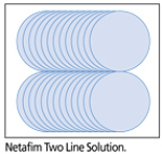 The Netafim Solution The Netafim Solution