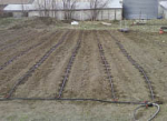 Farm using 420BV-06 fittings Farm using 420BV-06 fittings