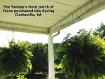 Hanging Basket Assemblies with 0.5 gph Dripper  Hanging Basket Assemblies with 0.5 gph Dripper