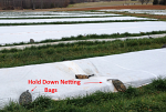 Hold Down Netting Bags, High Rock Farm Hold Down Netting Bags, High Rock Farm