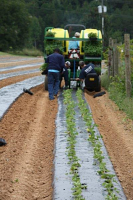 Water Wheel Planter Water Wheel Planter