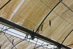 Stainless Steel Tomahooks in use in Hydroponic System Stainless Steel Tomahooks in use in Hydroponic System