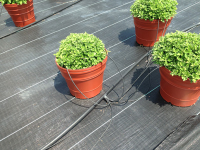 Details about   METAL GROUND GARDEN LANDSCAPE WEED MEMBRANE FABRIC TURF HOOKS PEGS STAPLES U PIN 