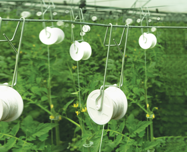 Rollerhook Spools or Frames (Less than Case) with Twine for Climbing Tomatoes and Cucumbers Rollerhook Spools or Frames (Less than Case) with Twine for Climbing Tomatoes and Cucumbers