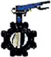 Schedule 80 PVC Butterfly Valves Schedule 80 PVC Butterfly Valves