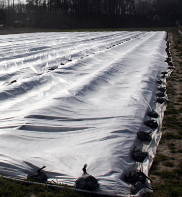 GG-40 1.2 oz (5, 10, 20 Foot Widths)  Medium Weight Cover protects down to 22 F. Transmits 60% light. GG-40 1.2 oz (5, 10, 20 Foot Widths)  Medium Weight Cover protects down to 22 F. Transmits 60% light.