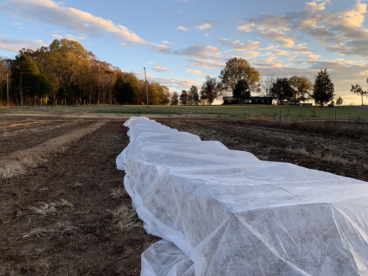 TYPAR T-518 1.25 oz Frost Cover Blankets.  100% UV Protected Cloth