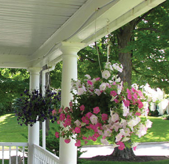 Hanging Basket Drip Kit. Free Shipping! Hanging Basket Drip Kit. Free Shipping!