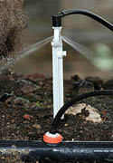 Netafim PC Spray Stakes and Assemblies - Inexpensive and Work Great