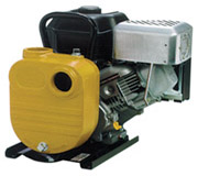 FNSGF8H-9HP 9 HP Monarch Pump FNSGF8H-9HP 9 HP Monarch Pump