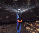 SuperNet Pressure Regulated, Bug-Proof Micro-Sprinkler throws 5-16' Feet  #0312