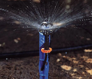 SuperNet Pressure Regulated, Bug-Proof Micro-Sprinkler throws 5-16' Feet  #0312 SuperNet Pressure Regulated, Bug-Proof Micro-Sprinkler throws 5-16' Feet  #0312
