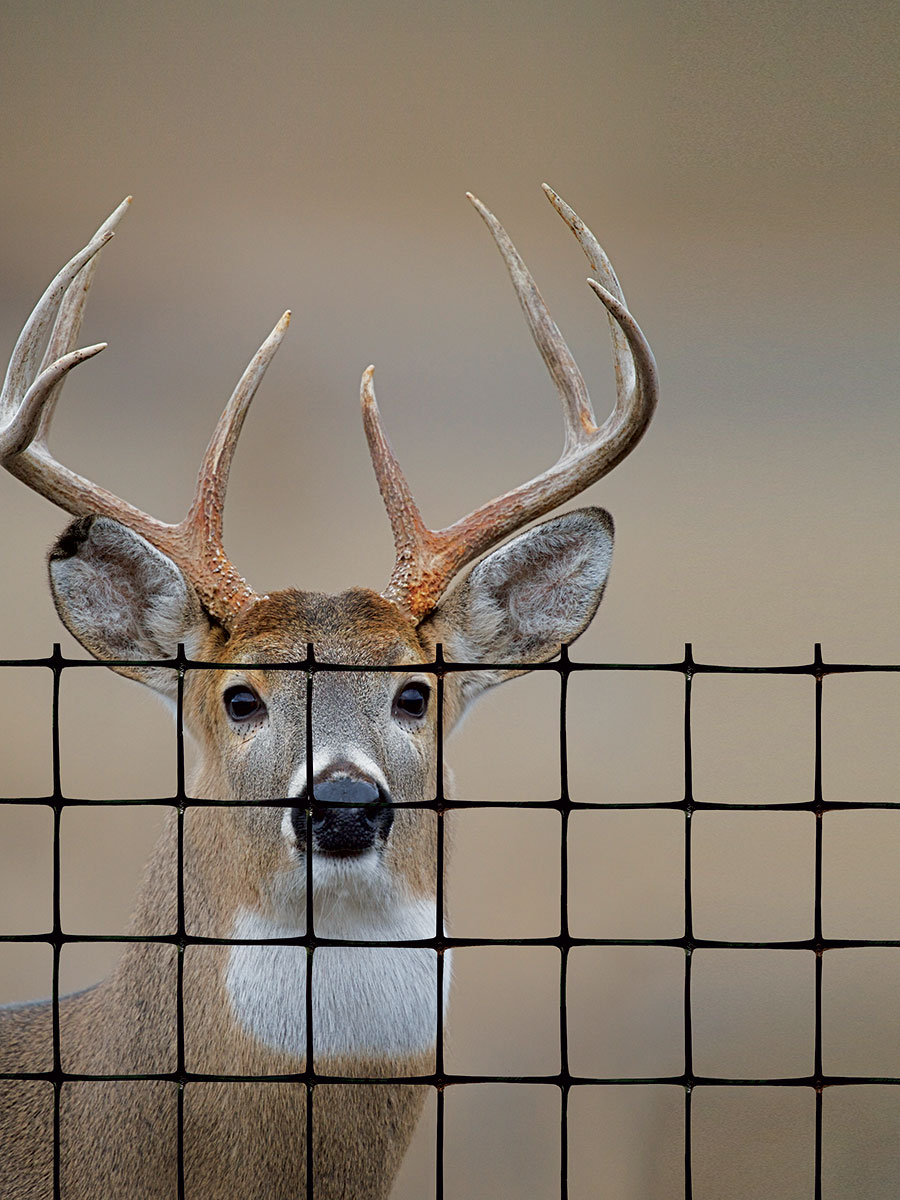 DEER FENCE PREMIUM 7.5' X100' DEER FENCE PREMIUM 7.5' X100'