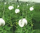 Rollerhook Spools or Frames (Less than Case) with Twine for Climbing Tomatoes and Cucumbers Rollerhook Spools or Frames (Less than Case) with Twine for Climbing Tomatoes and Cucumbers