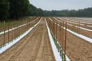1.0 Mil -White on Black - Embossed Plastic Mulch  1.0 Mil -White on Black - Embossed Plastic Mulch