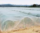 Insect Netting protects crops from pests, deer and weather!  UV Resistant  Insect Netting protects crops from pests, deer and weather!  UV Resistant