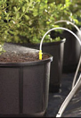 Non-PC Spray Stakes & Barbs Only by Netafim Irrigation  #01SS Non-PC Spray Stakes & Barbs Only by Netafim Irrigation  #01SS