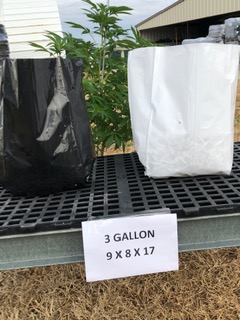 Poly Grow Bags- Black or White - Grow hemp, tomatoes, peppers, cucumbers,  etc (3, 6, 8 and 11 Gallon)