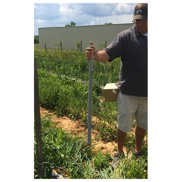 Florida weave tomato stake string twine tiers.