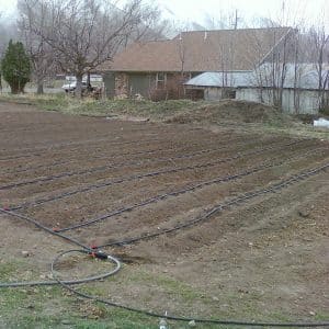 This is a picture of the Roberts garden in Utah using our Super Garden Kit.